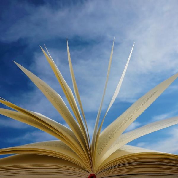 Publikation aufgeschlagenes Buch mit blauem Himmel im Hintergrund