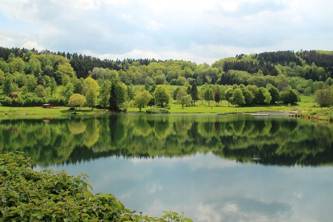 Nachbarschaften: See mittig mit grünem Wald herum